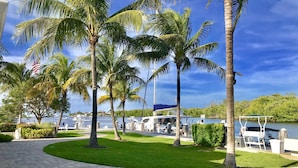 A marina with boats docked, palm trees, and a paved walkway.