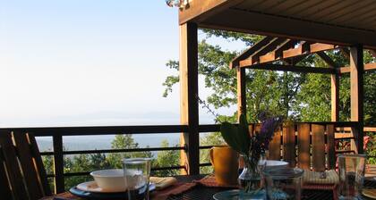 Luxury Outdoor LR & BBQ, Mtn Top retreat- MOOSEMAC - 7 person hot tub & more!!