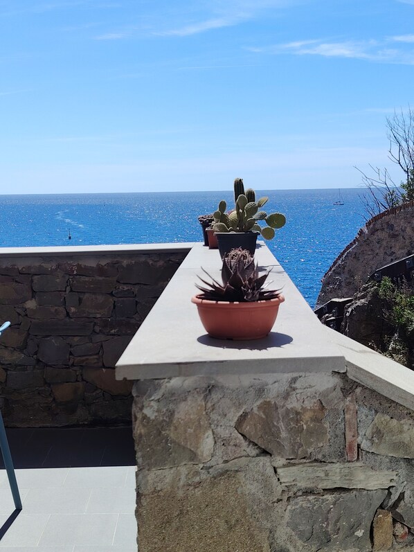 Un balcón con vista al mar, una planta de cactus y una planta en maceta.