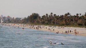 A crowded beach with people swimming and walking along the shore, palm trees, and buildings in the background.