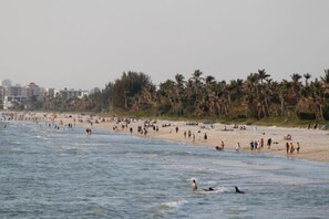 Solsenger og strandhåndklær