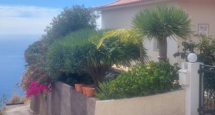 'Casa do Gabriel' spacious Madeirian villa with private garden and ocean view
