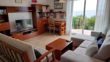 TV connectée, cheminée, livres, médiathÚque