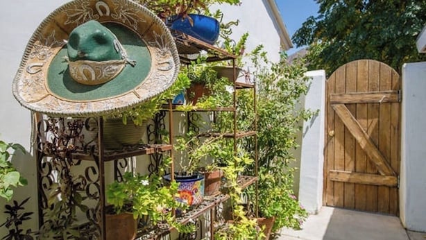 Un espacio al aire libre rústico con un estante metálico que sostiene plantas y un portón de madera.