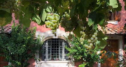 AUTHENTIC COUNTRY HOME, VIEWS, 30-MIN ROME ACCESS BY TRAIN