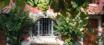ROMLAND, ANSICHTEN, WEINBERGE, EINFACHER STADTZUGANG MIT DEM ZUG
