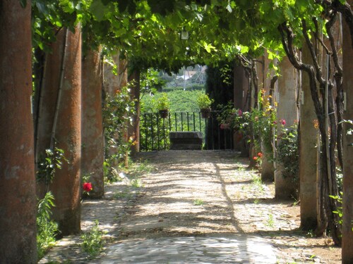 ROMLAND, ANSICHTEN, WEINBERGE, EINFACHER STADTZUGANG MIT DEM ZUG
