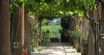 ROMLAND, ANSICHTEN, WEINBERGE, EINFACHER STADTZUGANG MIT DEM ZUG