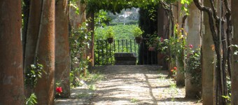 AUTHENTIC COUNTRY HOME, VIEWS, 30-MIN ROME ACCESS BY TRAIN