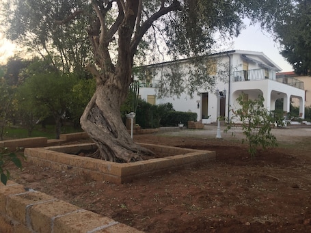 Áreas de la propiedad