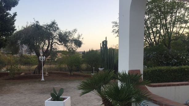 A courtyard with a white column, a palm tree, and a cactus planter. - Casa Flavia (Santa Flavia)