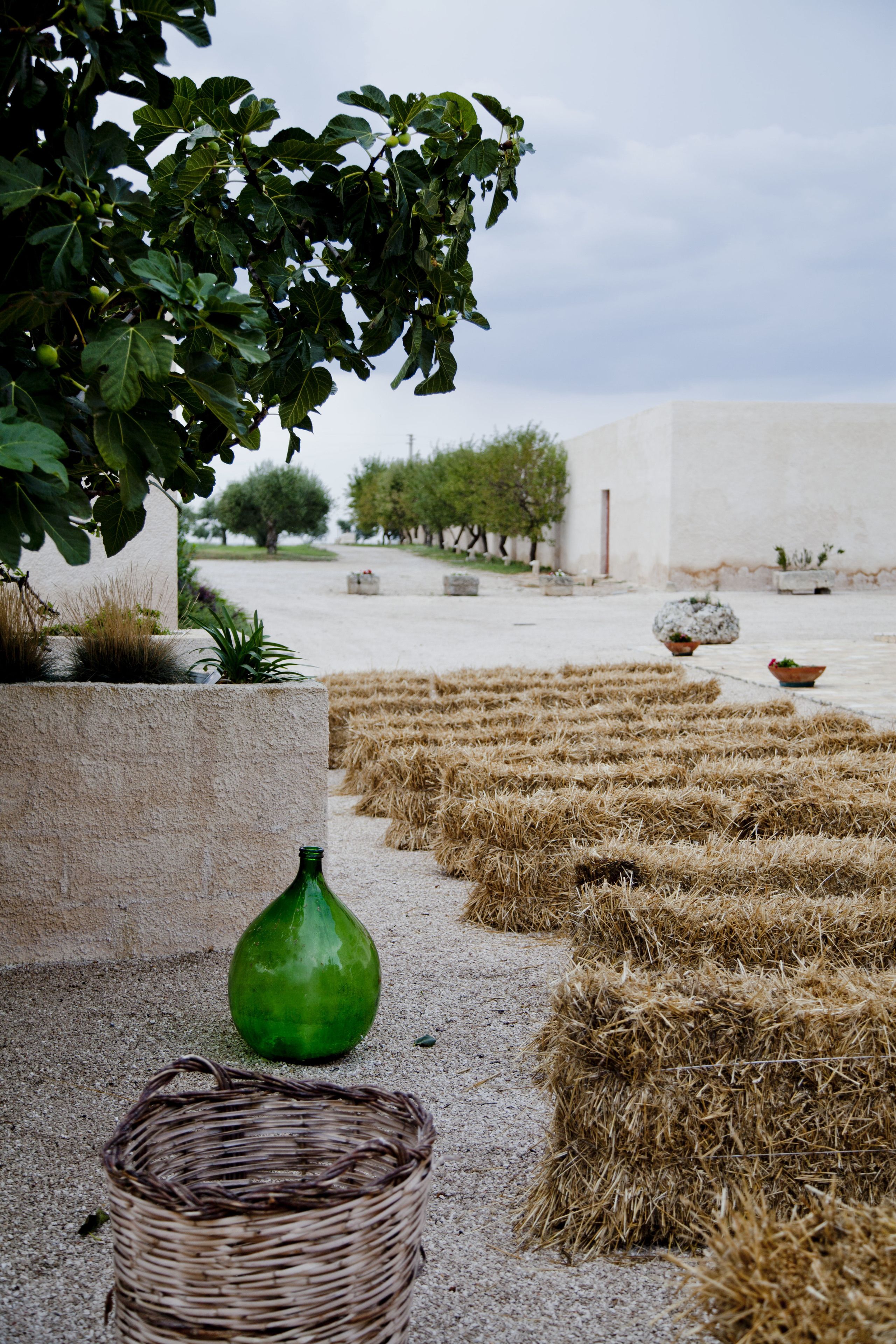 Foto - Masseria Fontana di Vite
