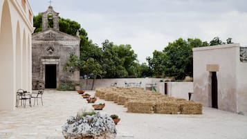 Outdoor wedding area