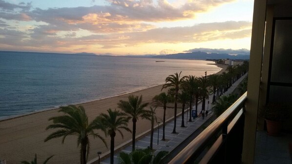 A beach with palm trees and a view of the sea.