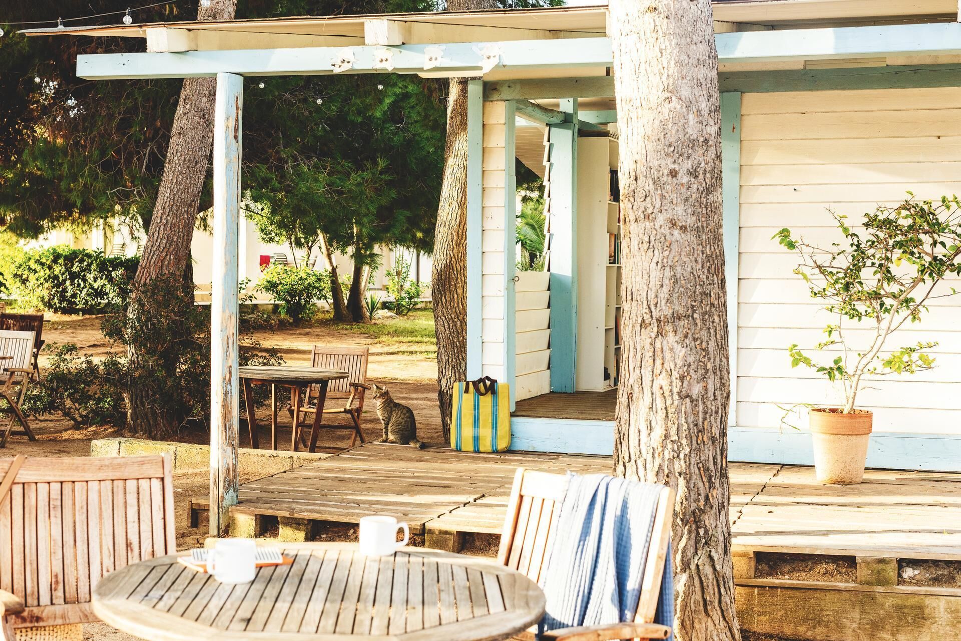 A wooden deck with outdoor furniture, a covered porch, and a potted plant.