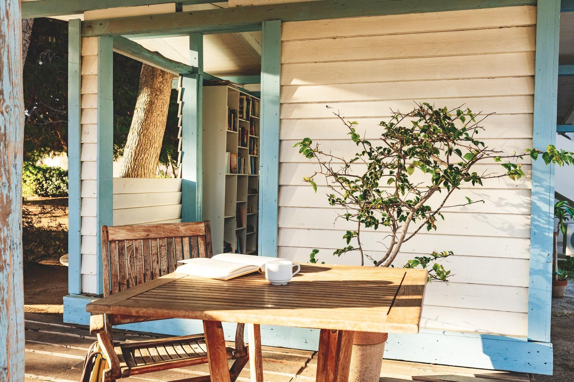Una mesa de madera con un libro y una taza, un banco y un árbol frente a un edificio blanco con detalles azules.