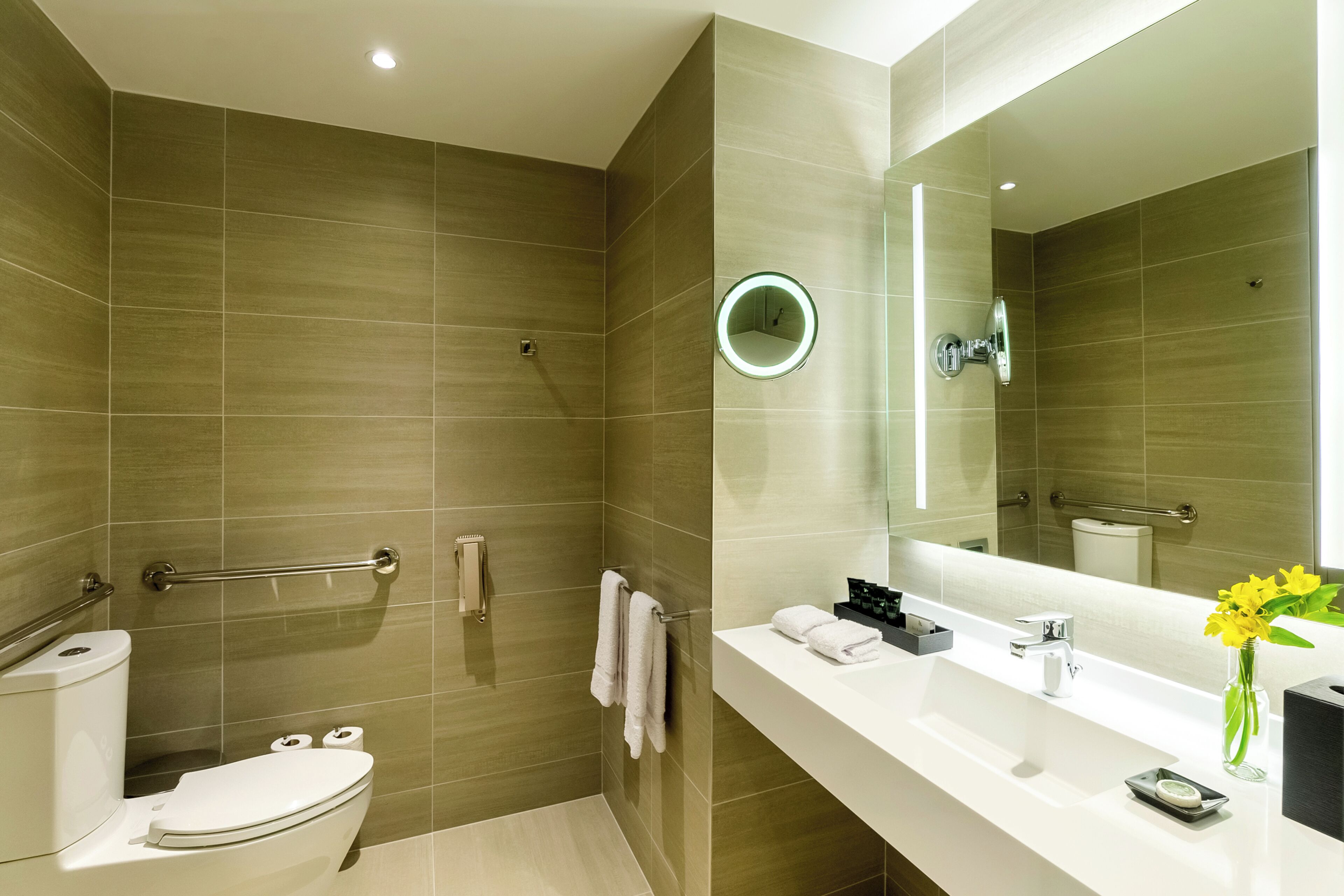 A modern bathroom with a shower, toilet, and sink, equipped with a handrail and a mirror.