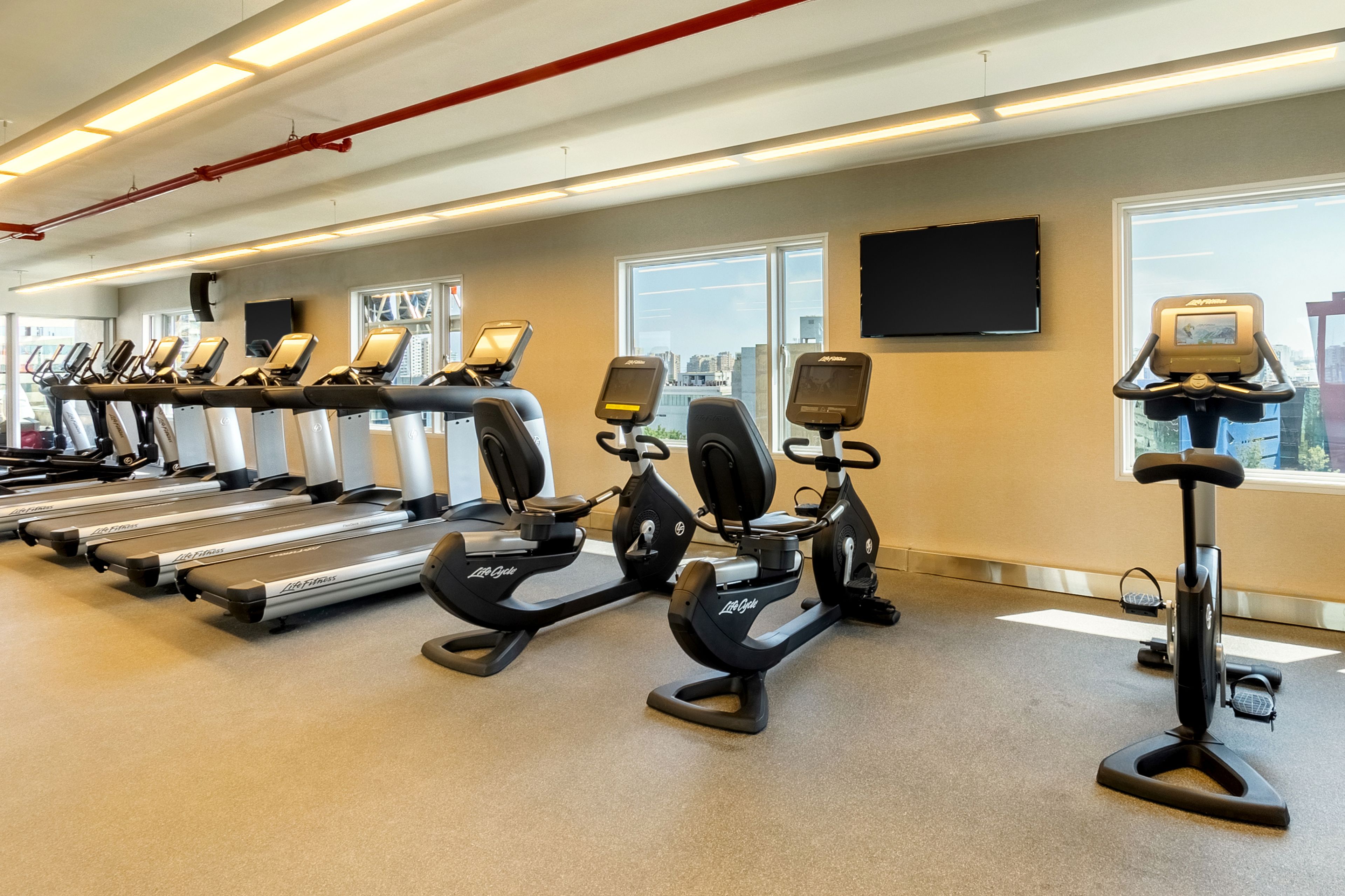 Un gimnasio con varias cintas de correr y elípticas, ventanas amplias y un televisor de pantalla plana en la pared.