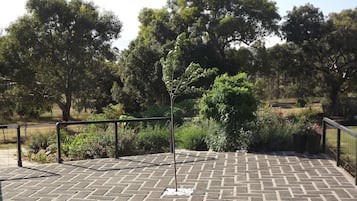 A paved outdoor area with a metal railing, surrounded by trees and various plants.
