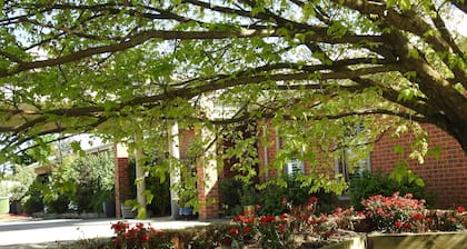 Barkly Suites Apartments