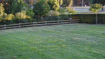 A grassy area with a wooden fence, trees, and a road in the background.