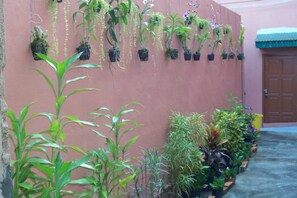A wall with hanging and potted plants, a door, and a concrete pathway. - D's Corner & Guesthouse (Phuket)