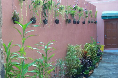 D's Corner & Guesthouse