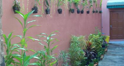 D's Corner & Guesthouse