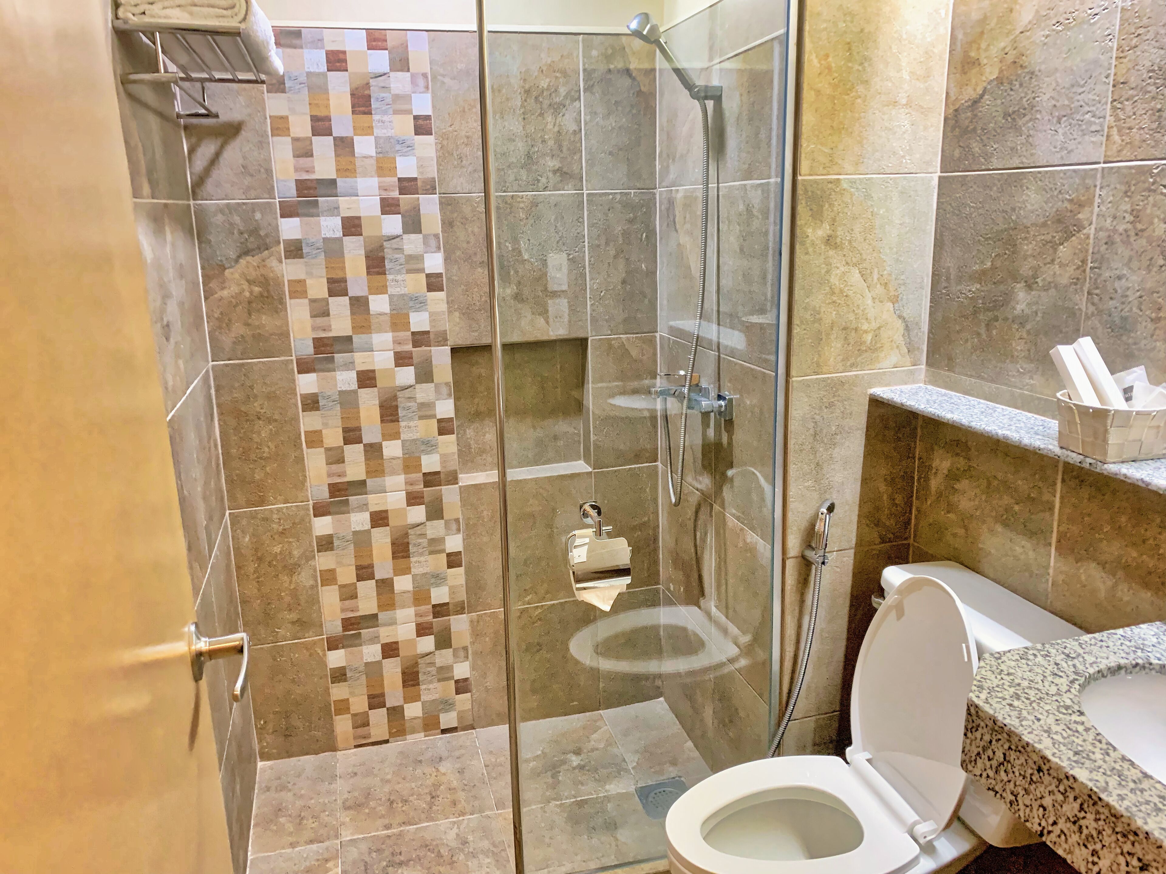 shower, free toiletries, hair dryer, bidet