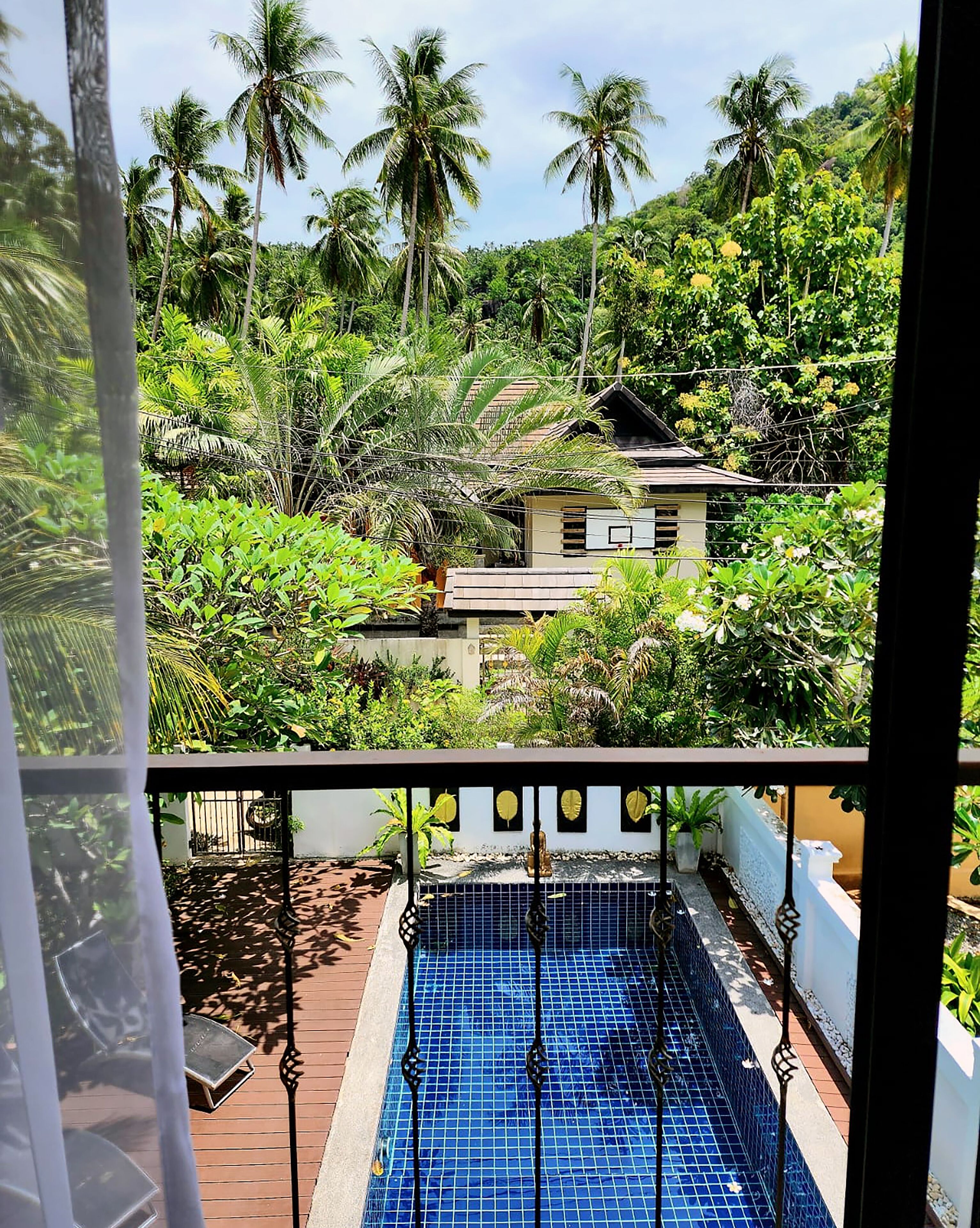 A view of a swimming pool with a tiled floor, surrounded by lush greenery and palm trees.