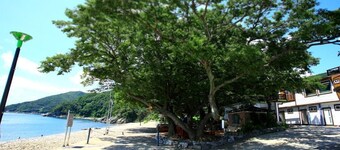 Pinky Marine Pension