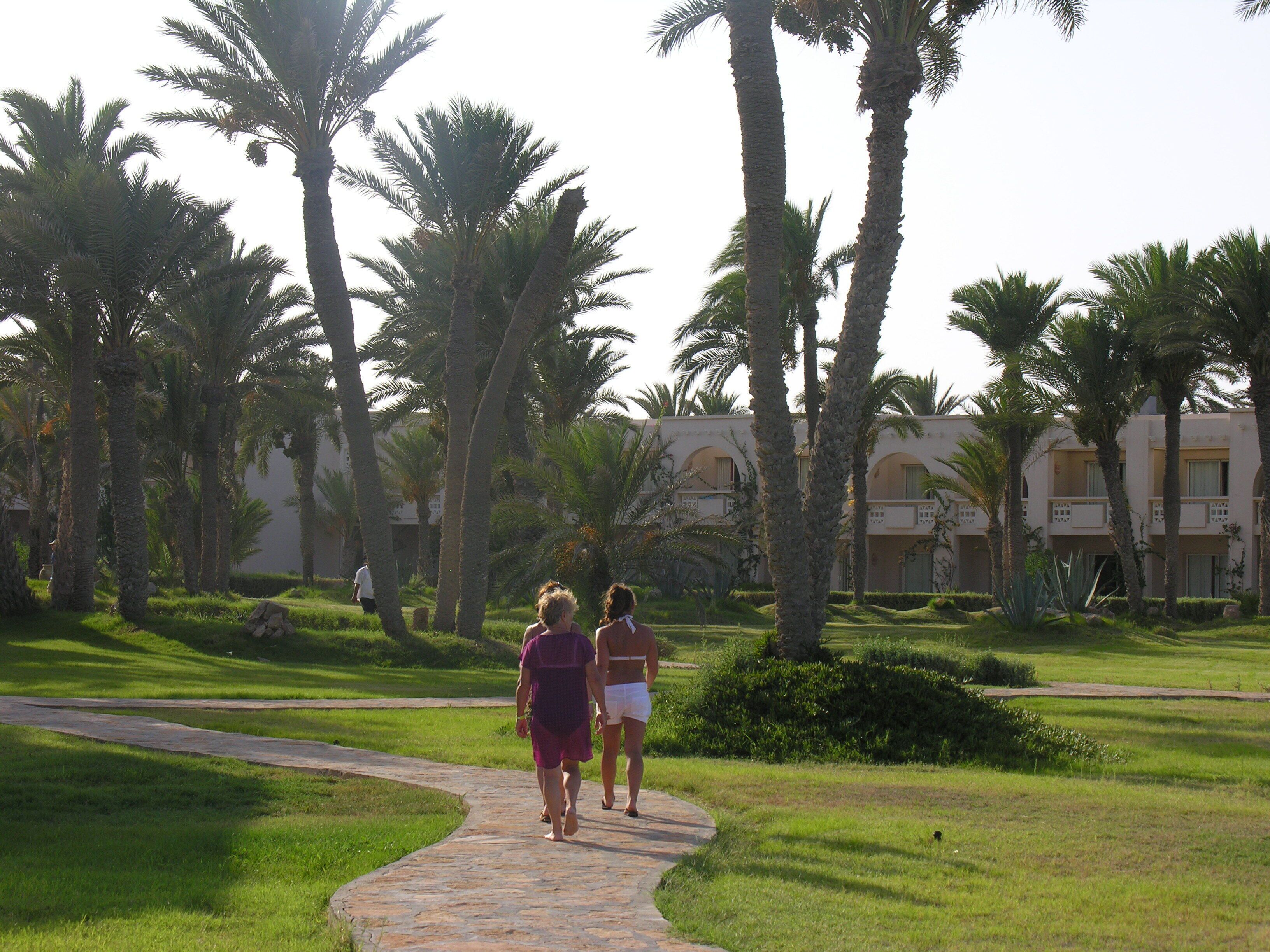A pathway surrounded by palm trees and a building with balconies.