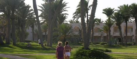 A pathway surrounded by palm trees and a building with balconies.