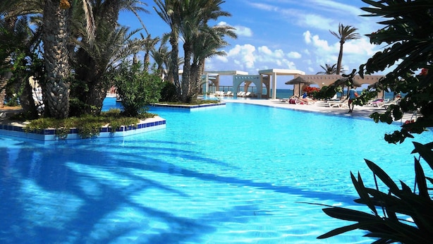 Un espace piscine agrémenté de palmiers et de chaises longues.