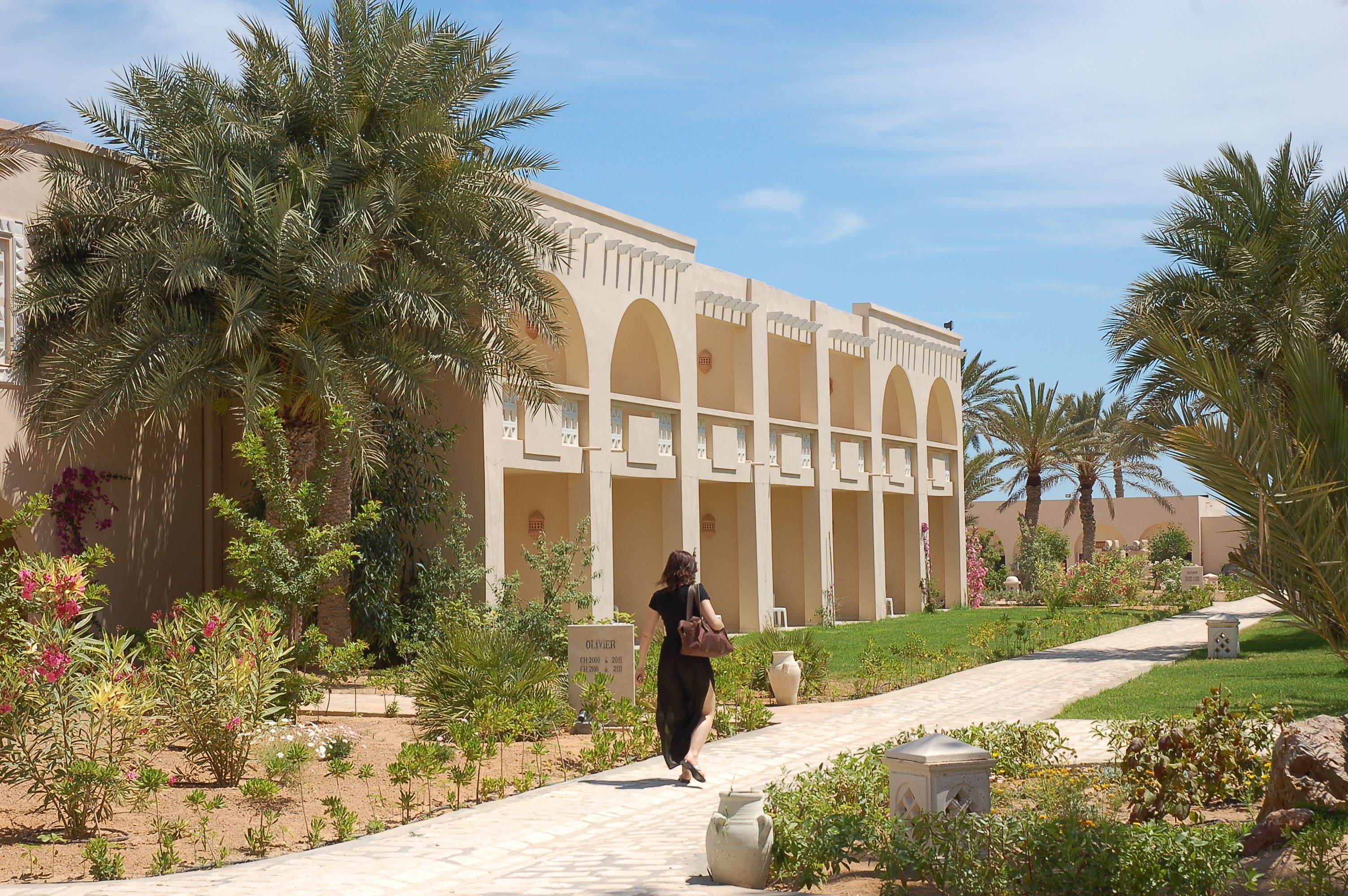 A building with arched windows and a pathway lined with palm trees and flowers.