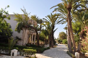 Un sendero pavimentado bordeado de palmeras y un edificio con columnas.