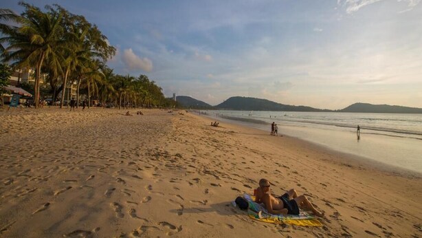 Una playa con palmeras, una orilla arenosa y una persona recostada sobre una toalla.
