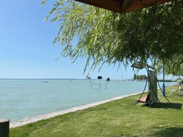 靠近海滩、黑沙、排球、5 间海滩酒吧