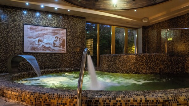 Un área de spa con una bañera de hidromasaje, una pantalla montada en la pared y un tragaluz.