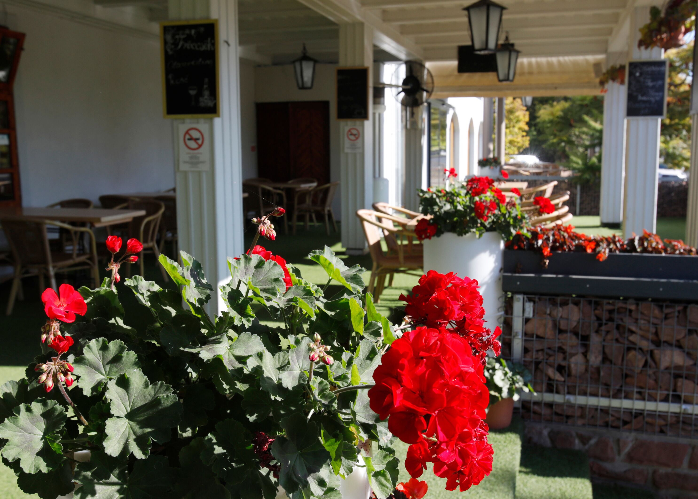 A covered outdoor seating area with tables and chairs, potted geraniums, and a brick wall with logs.