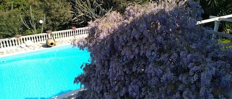 Una piscina al aire libre, sillones reclinables de piscina