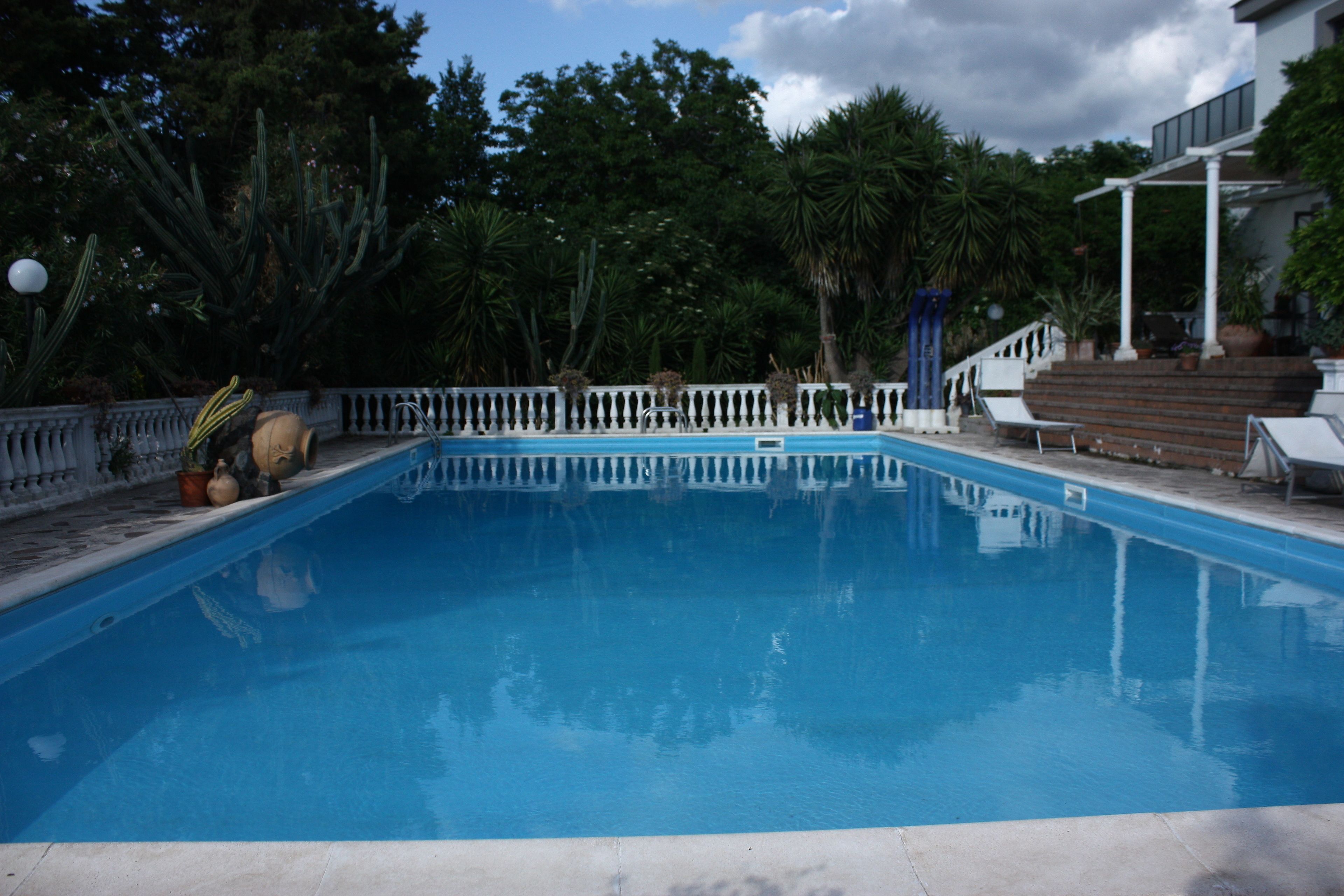 Une piscine entourée d’une clôture blanche, bordée de cactus et de palmiers.