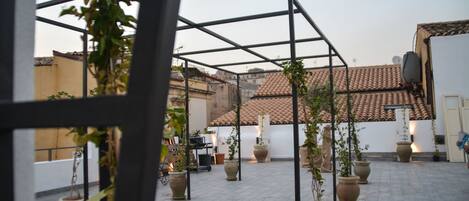 A rooftop terrace with potted plants, a metal frame structure, and a tiled roof.