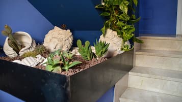 Detalle del interior