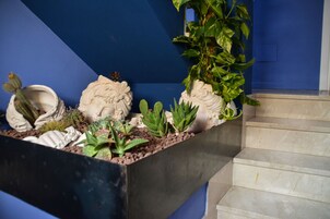 Una escalera con un banco de plantas que contiene diversos cactus y suculentas.