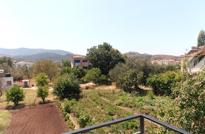 A rural landscape with houses, trees, and a dirt path.