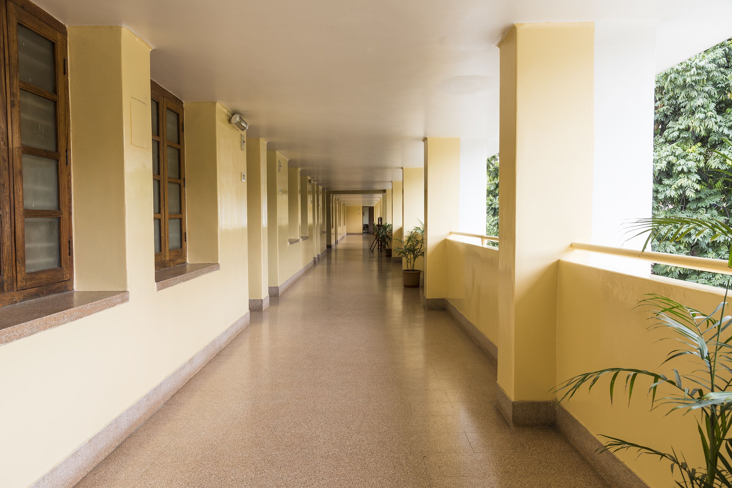 A long corridor with yellow walls, wooden-framed windows, and potted plants along the right side.