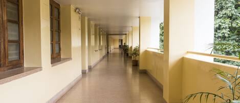 A long corridor with yellow walls, wooden-framed windows, and potted plants along the right side.