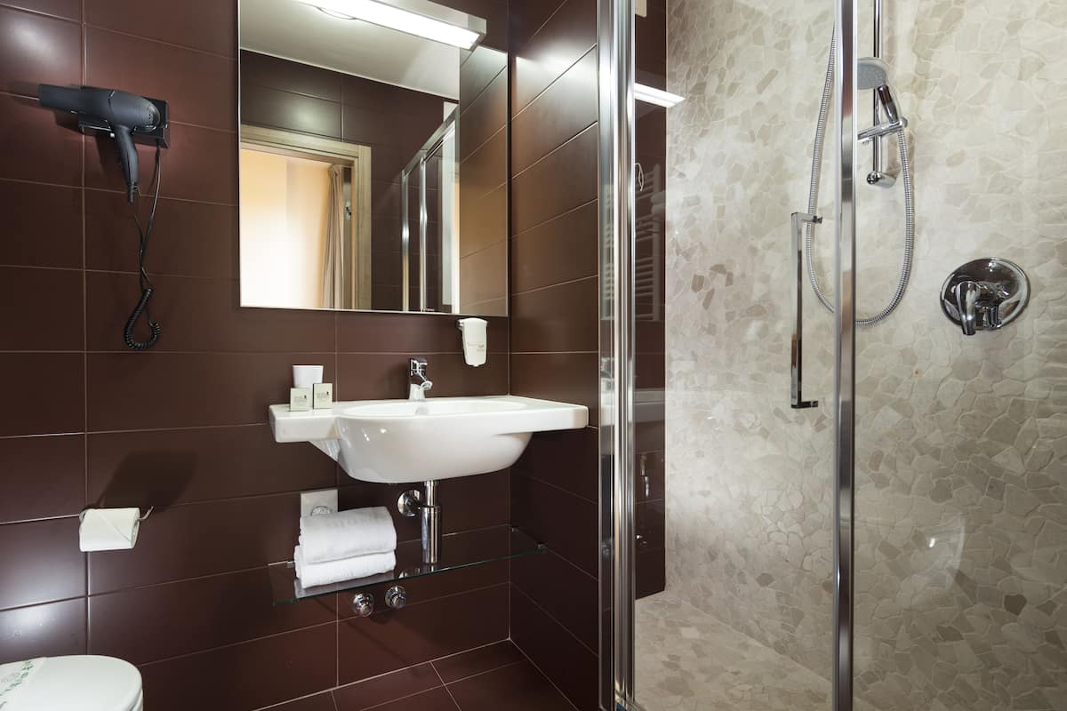 shower, free toiletries, hair dryer, slippers