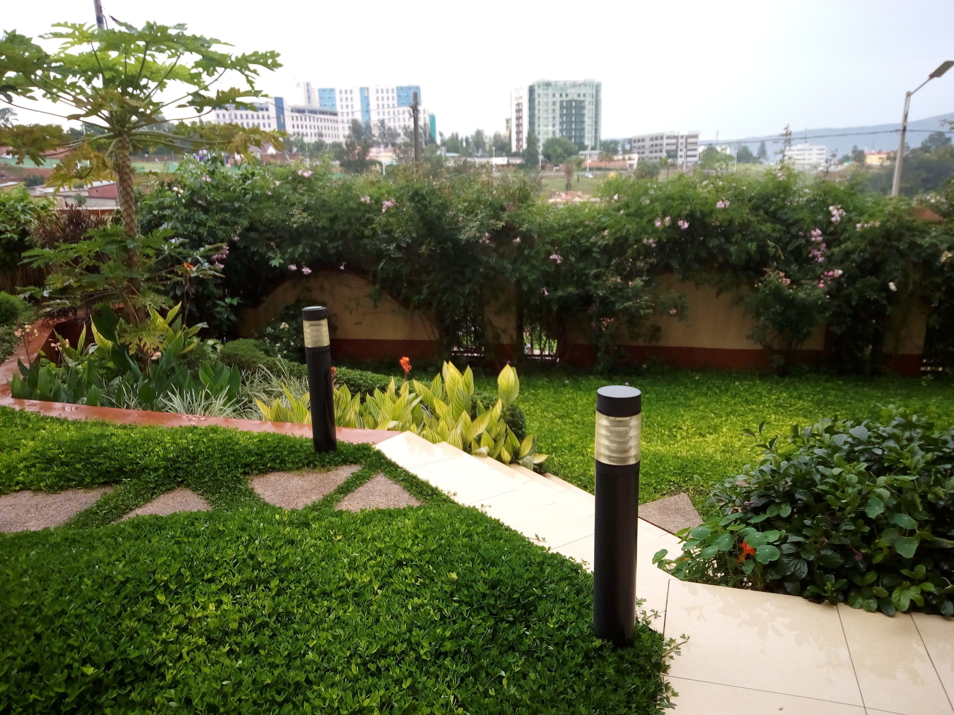 A landscaped garden with a variety of plants and a paved walkway.
